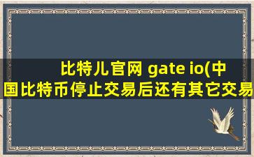比特儿官网 gate io(中国比特币停止交易后还有其它交易方法吗)